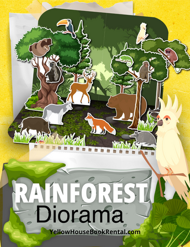 Rainforest Diorama Kit